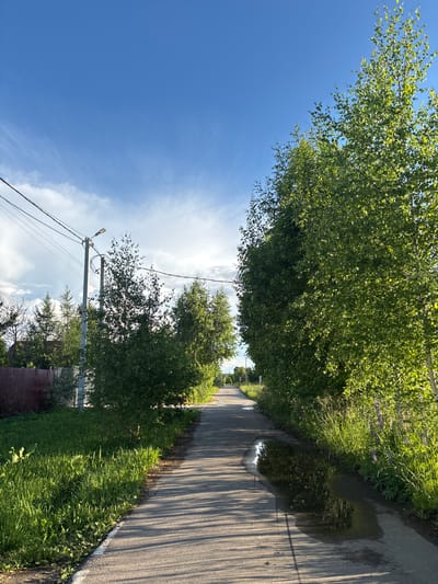 The image depicts a paved road in Мещёры, Russia, lined with lush green trees and grass. The sun is shining, casting long shadows across the road, suggesting it is late afternoon or early evening. There are puddles on the road, indicating recent rain. A lamppost stands by the side of the road, with power lines running across the frame. In the distance, more trees and a hint of a fence can be seen. The sky is a vibrant blue with scattered white clouds. The overall scene evokes a peaceful, rural atmosphere on a sunny day after a rain shower. There is no visible text.
