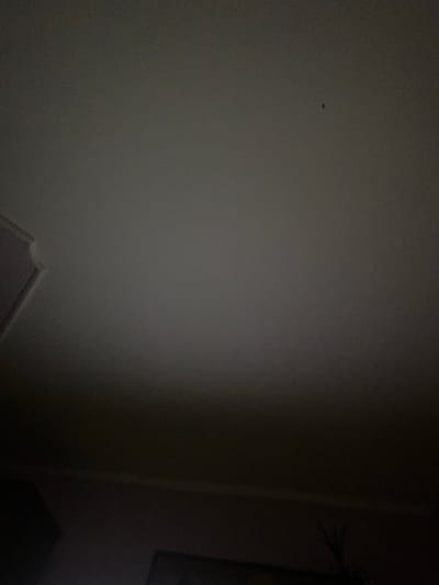 The image shows a dimly lit interior ceiling with a very faint, small dark speck visible slightly off-center in the upper portion of the frame. The ceiling appears to be painted a light, neutral color, possibly white or off-white, and shows some subtle gradient in lighting, becoming darker towards the bottom of the image. In the bottom left and bottom right corners, there are areas of much darker shadow, obscuring any details that might be present on the wall or objects below. The top left corner shows a curved architectural element, likely part of a ceiling cornice or molding, painted in a light color with a hint of purple. The overall impression is of a domestic indoor space, possibly a bedroom or living area, at night or with minimal lighting. The location in Zastavna, Ukraine, is not visually represented in the image itself.