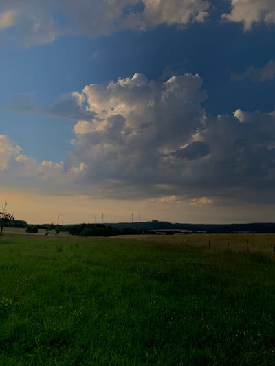 A landscape view of a grassy field in Beltershain, Germany shows a dramatic sky with large, billowing clouds. In the distance, several wind turbines stand against the horizon, dotted among trees and rolling hills. The sky transitions from a bright blue at the top to a warmer, sunset hue near the horizon, casting a soft light on the scene. The foreground is dominated by lush green grass, with some smaller wildflowers visible. A single bare tree stands on the left side of the image. The overall impression is one of natural beauty and serene, open space.