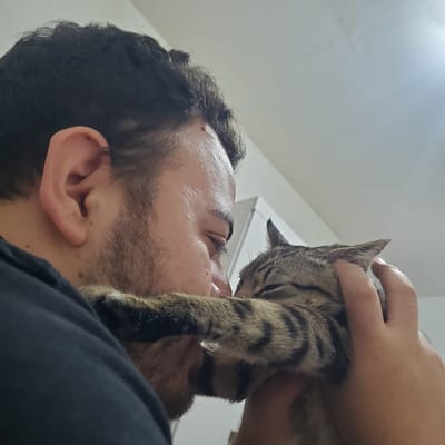 The image presents a warm, upward-angle close-up of a person interacting affectionately with a small tabby cat in an indoor setting, likely a home in Curitiba, Brazil. The primary subjects are a person, seen from the chin to the top of the head, and a striped cat being held near their face.

The person has dark, curly hair and visible stubble or short beard growth on their chin and jawline. Their eyes are closed or looking downwards, conveying a sense of calm and enjoyment in the interaction. The cat, with distinctive brown and black striped fur, is positioned close to the person's face, appearing to nuzzle or sniff the area around their nose and forehead. A human hand is visible gently supporting the cat's head and back, indicating a controlled and tender hold.

The background is a simple, light-colored (likely white) wall, with a portion of a white air conditioner unit visible, further confirming the indoor setting. The lighting suggests ambient indoor illumination. The overall emotion conveyed is one of tenderness, affection, and companionship between the person and the feline. There is no visible text in the image.