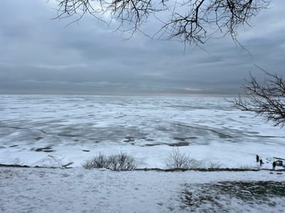 The image depicts a winter landscape in Primorka, Russia, under an overcast sky. The foreground comprises a snow-covered embankment, revealing sections of dark, exposed soil and sparse, dormant shrubs. Beyond this, a wide body of water is largely covered by a fractured ice sheet, displaying irregular patterns of white ice intermingled with darker patches of exposed water or thinner ice. On the right side of the frozen surface, near the shoreline, four human figures are present. One taller individual stands in proximity to two smaller figures, while a fourth figure stands further to the right. All figures are dark-clad and appear to be observing the icy expanse. The background features a distant horizon line where the frozen water meets a uniformly gray, cloudy sky, with a faint light-orange band visible near the horizon. Bare, dark tree branches extend into the upper and upper-right portions of the frame.
