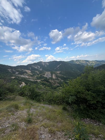 A wide shot captures a lush, hilly landscape under a bright blue sky dotted with white clouds. The foreground is a rocky, uneven terrain covered with dry grass and small yellow wildflowers. A few scattered green plants and bushes add pops of color to the otherwise muted tones of the foreground.

In the middle ground, rolling hills covered in dense green trees stretch across the frame. A winding dirt road is visible, snaking its way through the valley. The hills are interspersed with patches of lighter-colored rock, possibly outcrops or exposed soil, giving the landscape a textured appearance.

The background features a series of more distant, darker green mountain ranges, their peaks softened by the haze of distance. The overall impression is one of natural, unspoiled beauty, a remote and serene mountainous region. The scene is devoid of any human presence or structures, emphasizing the wildness of the environment.