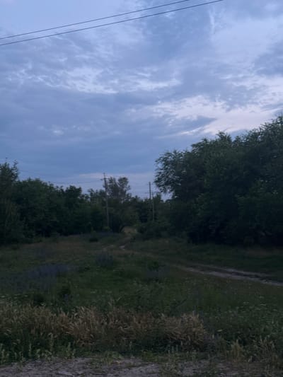The image depicts an outdoor scene, likely in Slobozia-Dușca, Moldova, under a cloudy sky. A dirt road winds through a grassy area bordered by dense, dark green trees on both sides. In the distance, a utility pole with visible wires can be seen. The foreground is dominated by tall, dry grasses and some scattered wildflowers, with a rough, gray ground surface. The overall impression is one of a rural or semi-rural landscape at dusk or during overcast weather. There are no people or animals present in the image, and no actions or interactions are taking place.