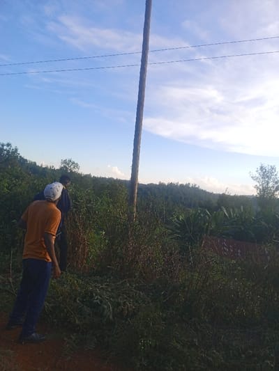 The image depicts an outdoor daytime scene in Karuri, Kenya. A prominent, tall, dark utility pole stands centrally on the right, extending from the midground into a clear blue sky with scattered white clouds. Two horizontal power lines are visible connected to the pole.

In the lower-left foreground, a male subject is positioned on a dirt path, with his back partially turned towards the viewer. He wears an orange short-sleeved shirt, dark blue trousers, and a white baseball cap. Behind him, slightly to the right and partially obscured by dense green foliage, a second male subject is visible, wearing a dark long-sleeved shirt and dark trousers.

The midground and background consist of dense vegetation, including green bushes, banana plants visible on the right, and distant hills covered with numerous trees. A segment of a reddish-brown corrugated metal roof is partially discernible amidst the foliage in the midground on the right. The overall environment appears rural or semi-rural, characterized by natural landscapes and utility infrastructure. No explicit actions or interactions beyond standing/walking in proximity are discernible between the individuals.