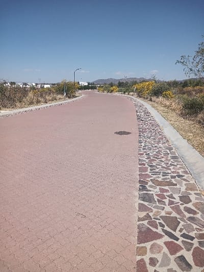 The image displays an outdoor scene in La Venta, Mexico, under a clear, bright blue sky with minimal, faint white clouds. A reddish-brown paved path, constructed from interlocking zig-zag pavers, extends from the foreground into the distance, curving to the right. A dark, circular stain is present on the paver surface in the mid-ground. To the immediate right of the main paved path, a decorative strip features irregularly shaped, multi-colored stones (ranging from red to grey and brown) set into a lighter-colored mortar. This strip is bordered on its right by a light grey concrete curb. Beyond the curb, the ground consists of dry, light brown earth and sparse vegetation, including bushes with green foliage and bright yellow flowers. On the left side, the main path is bordered by a lighter-colored, possibly gravel or stone, shoulder, beyond which similar dry vegetation and green bushes are visible. A black street lamp post with a curved arm is positioned on the left side of the path in the mid-ground. In the distant background, rolling hills are present, along with several white or light-colored buildings and faint utility structures. No individuals, animals, or vehicles are present in the scene.
