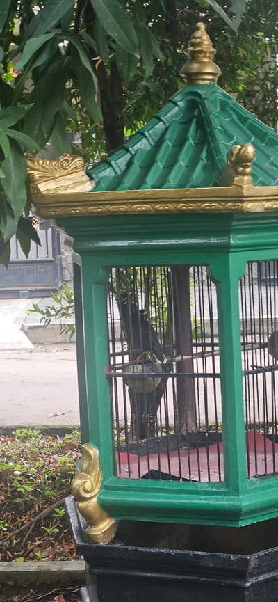 The image shows a green birdcage with golden decorative accents, positioned outdoors. Inside the cage, a black bird with some white markings is perched on a wooden dowel. The birdcage has a green, tiled roof with golden trim and finials. The cage is placed on a black base. In the background, there are green leaves and trees, suggesting a natural or garden setting. The ground is paved in some areas and covered with dry leaves and grass in others. The overall scene appears to be in a residential or public outdoor space, possibly a garden or park within the city of Bekasi, Indonesia.