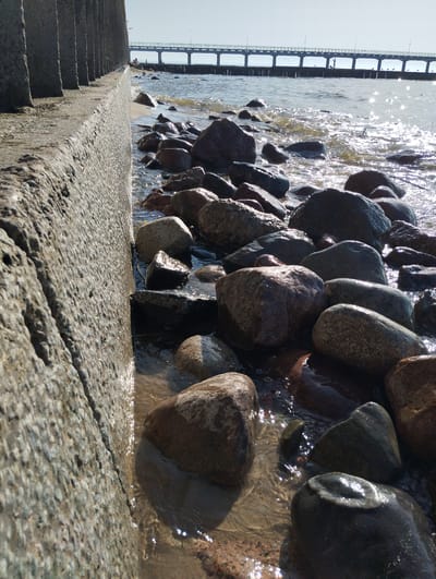 This image depicts a sunlit seaside scene, likely in Zelenogradsk, Russia. In the foreground, a rough, grey concrete structure, possibly a breakwater or pier support, runs along the left side of the frame. Its textured surface shows signs of weathering. Beside this structure, the shallow water laps over a collection of smooth, rounded stones of varying sizes and colors, interspersed with sand. The water is clear enough to reveal the submerged stones and sand, and it sparkles with sunlight, indicating a bright and sunny day.

In the background, a long pier extends out over the water, supported by numerous pilings. The sky is clear and pale blue, suggesting fair weather. A few distant figures can be seen on the pier, and some birds are perched on its railing. The overall impression is one of a serene and peaceful coastal environment, bathed in the warm glow of midday or late afternoon sun. The emphasis on the textures of the concrete and stones, along with the play of light on the water, creates a visually engaging natural scene. There is no visible text in the image.