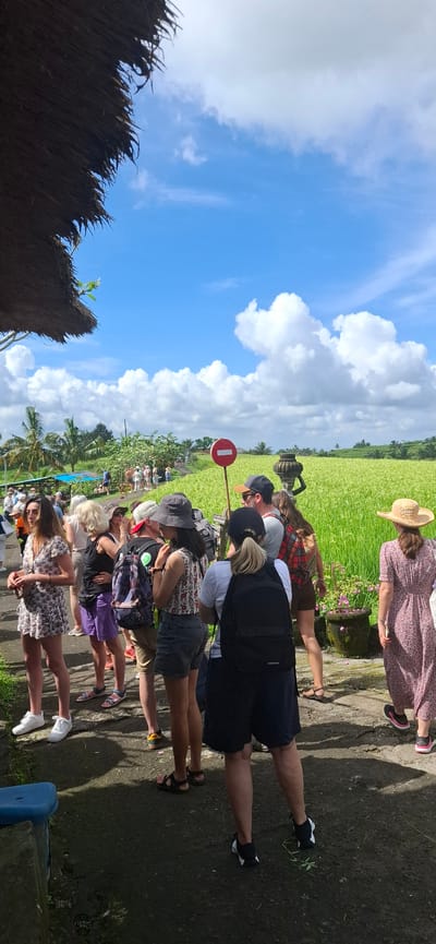 The image shows a group of tourists walking on a raised path through rice paddies in Penebel, Bali, Indonesia. The rice paddies are green and lush. The sky is blue with puffy white clouds. A red and white "no entry" sign is visible. The tourists are dressed in casual clothing.