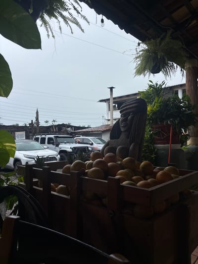 This image captures an outdoor, semi-covered scene in Acapulco, Mexico, under an overcast sky. In the foreground, a dark wooden, multi-tiered display stand is filled with numerous citrus fruits, predominantly oranges, with some appearing to be grapefruits or similar varieties. A dark, indistinct object, possibly a piece of furniture, is partially visible at the bottom edge.
To the right of the fruit stand, a dark, stylized wooden sculpture depicts the upper body of a person, characterized by a distinct head covering or hairstyle and a hand resting against the cheek. Behind the sculpture, a large potted plant with lush green foliage stands.
Beyond these elements, a parking area or street is visible, occupied by several vehicles. A white Toyota RAV4 SUV is parked on the left. In the center, a silver Jeep Wrangler (JL generation) is prominent, featuring aftermarket modifications including an overhead light bar, aggressive tires, and a rugged front bumper. Behind the Jeep, another silver SUV or truck is partially visible, displaying "DM-22" on its rear. A weathered wooden fence or structure stands behind the vehicles, and a white sign with dark Spanish text, partially obscured by foliage, is visible above the Toyota.
The background consists of a light grey, overcast sky, intersected by multiple thin overhead wires. Distant palm trees are faintly silhouetted. Overhead, a dark wooden roof structure, likely part of a patio or open-air building, extends into the frame. From this roof, several hanging plants, including ferns, are suspended, alongside exposed incandescent light bulbs. A white building with a dark roof and a prominent chimney is visible in the background on the left. Numerous small, dark specks, consistent with birds or insects, are scattered across the sky. No individuals are clearly discernible within the scene.