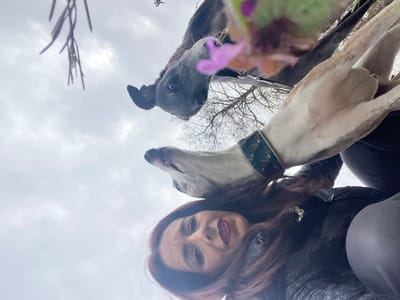 A low-angle shot depicts a woman with long brown hair and dark lipstick, smiling at the camera. Above her and to the left is a grey dog with a decorative collar. Further above and slightly to the left, is another darker-colored dog. The background consists of an overcast sky, bare branches, and what appears to be a blurry plant with purple flowers. The location is likely outdoors in Konz, Germany.