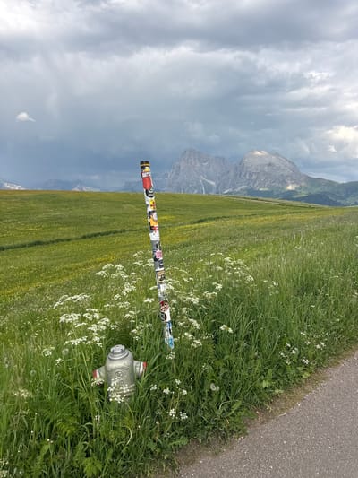A vertical, wide-angle shot captures a natural landscape with a pole decorated with stickers in the foreground. The pole is positioned horizontally across the frame, adorned with numerous colorful stickers depicting various logos, brands, and possibly comic characters. To the right of the pole, nestled in tall green grass dotted with small white flowers, is a silver fire hydrant with red accents. The background features a vast, lush green meadow that slopes gently towards a majestic, rocky mountain range under a cloudy sky. The clouds appear heavy and dramatic, suggesting a potentially moody or overcast day. The overall setting evokes a sense of the outdoors, possibly a rural or mountainous region. There is no visible activity or event taking place, and the scene appears still and undisturbed. The location is identified as Kastelruth - Castelrotto, Italy.