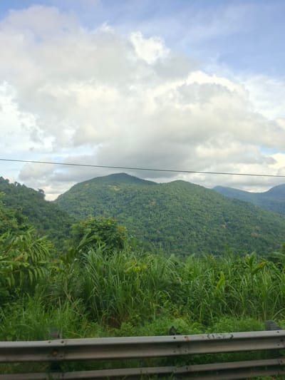 The image depicts a mountainous landscape covered in lush green vegetation under a cloudy sky. In the foreground, a silver metal guardrail runs horizontally across the bottom of the frame, separating the viewer from a dense growth of tall green grasses and broad-leafed plants. Behind the vegetation, the rolling hills of mountains rise, cloaked in trees. A single dark horizontal line, likely a wire or cable, stretches across the upper portion of the mountain range. The sky is a mix of blue and white clouds, with some areas appearing brighter than others, suggesting diffused sunlight. There are no people or animals visible in the scene. The overall impression is of a natural, undeveloped environment, likely in a rural or mountainous region, given the presence of thick foliage and the scale of the mountains. The specific location within Thôn 5, Vietnam, is inferred from the provided context, suggesting a tropical or subtropical mountainous terrain.