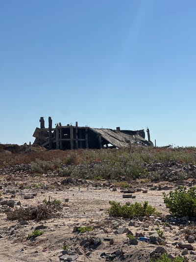 The image depicts the aftermath of destruction in the city of Gaza, Palestinian Territories. In the mid-ground, a severely damaged concrete structure, possibly a building, stands against a clear blue sky. The structure is in a state of ruin, with collapsed roofs, exposed rebar, and gaping holes in its walls. Debris, including rubble and broken concrete, is scattered around the building and in the foreground. Sparse vegetation, including small green plants and dry brush, grows amongst the rubble. The ground is a mixture of sand and dirt, littered with building materials. The overall scene conveys a sense of devastation and abandonment.