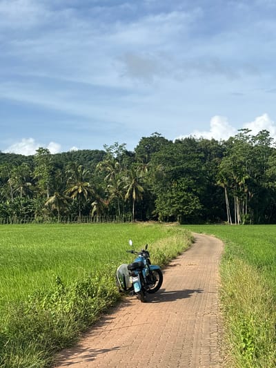 The image captures a scenic view of a rural road in Thihagoda, Sri Lanka. A blue motorcycle is parked on a dirt road, casting a long shadow to its right, indicating it's likely late afternoon or early morning. The road is bordered by lush green fields of tall grass and foliage, suggesting a tropical or sub-tropical environment. Beyond the fields, a dense forest covers a hillside, with palm trees and other lush vegetation creating a vibrant green backdrop. The sky above is a clear blue, dotted with scattered white clouds, hinting at pleasant weather. There are no people visible in the image. The overall impression is one of tranquility and natural beauty, characteristic of a rural landscape in a tropical region.