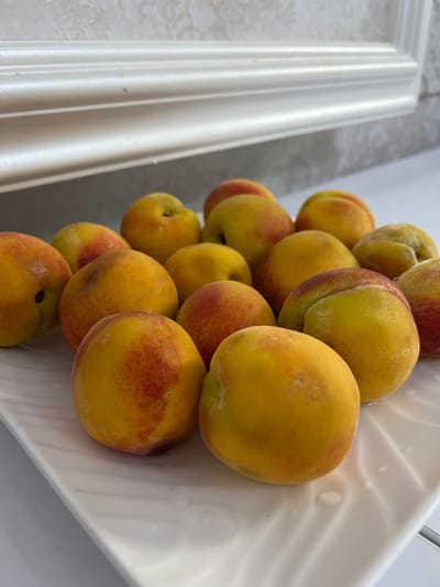 A close-up, overhead shot captures a pile of ripe peaches arranged on a white, textured plate. The peaches are a vibrant yellow with streaks of red blush. The plate rests on a white, reflective surface, possibly a countertop. In the background, a decorative white molding runs horizontally, against a textured wall. The lighting is bright, highlighting the glossy skin of the fruit. The scene is indoors, likely a kitchen or dining area, in Samarkand City, Uzbekistan. No people or actions are visible.