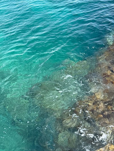 This media file is an aerial shot of the Adriatic Sea at Dubraljevina, Montenegro. The image captures the transition between the deep turquoise waters of the open sea and the shallow, clear water near a rocky shore. Sunlight glistens on the surface, creating dynamic patterns of light and shadow on the rippling water. The rocky edge of the coastline is visible in the upper right quadrant of the image, with a mixture of brown and grey rock formations. The water near the shore is exceptionally clear, revealing the submerged rocks and seabed beneath. Small white foam bubbles are scattered across the water, indicating gentle wave action against the rocks. The overall impression is one of natural beauty and tranquility, with the vibrant colors of the sea and the ruggedness of the coastline creating a picturesque scene. The time of day appears to be daytime, likely late morning or early afternoon, given the bright sunlight. No people or man-made objects are visible.
