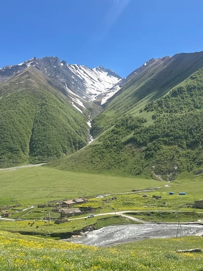 This is a medium-shot, outdoor, landscape photograph taken on a bright, sunny day, capturing a rural scene in Ketrisi, Georgia. In the foreground, a field of bright yellow wildflowers slopes down towards a fast-flowing, rocky river. The river crosses the frame from right to left. Beyond the river, a small, rustic village is nestled in a green valley. Several stone buildings with weathered roofs are visible, along with a few scattered tents. A white SUV is parked on a dirt road that winds through the village. A small herd of dark-colored animals, possibly cows or sheep, graze in a grassy area near the village buildings. Power lines and poles are present throughout the scene. In the middle ground, rolling green hills rise up, dotted with trees on the slopes. The background is dominated by a majestic mountain range, with sharp, rocky peaks in the distance, some of which are capped with snow. The sky above is a clear, vibrant blue. The overall impression is one of natural beauty and rural simplicity.