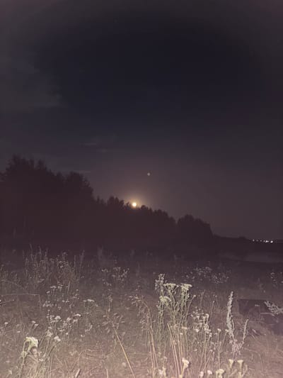 This is a nighttime photograph taken outdoors. In the foreground, there is a field of dry grass and wild flowers, illuminated by an artificial light source from the left, creating a bright foreground. In the background, a line of trees is silhouetted against the dark sky. A full moon is visible in the sky, partially obscured by a thin layer of clouds. The sky is dark with some faint clouds. In the far distance, there are some lights visible, suggesting the presence of a settlement. The photograph appears to have been taken in a rural or semi-rural area outside of the city of Elovo, Russia.