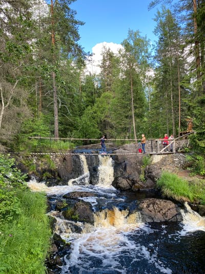 The image depicts a picturesque scene at the Ruskeala waterfalls in Russia. Tall, lush green pine trees dominate the background, with a clear blue sky and white clouds visible above. In the foreground, a powerful waterfall cascades down dark, rocky cliffs, with white foam and spray indicating its force. The water has a brownish tint, likely due to tannins from the surrounding forest.
A suspension bridge spans across the gorge, offering a vantage point to view the waterfall. Several people are present on and near the bridge, suggesting a tourist attraction. On the upper level of a wooden viewing platform, three individuals are visible, two of whom are wearing red clothing. Further down the suspension bridge, two more people are crossing, one in a brown jacket and blue jeans, and another in a red jacket and blue jeans. Closer to the waterfall, a person in a blue jacket and dark pants is walking across the bridge.
The scene appears to be set during daylight hours, with ample natural light illuminating the landscape. The presence of green foliage suggests a warmer season, likely spring or summer. The overall atmosphere seems peaceful and serene, with visitors enjoying the natural beauty of the location. There is no visible text in the image.