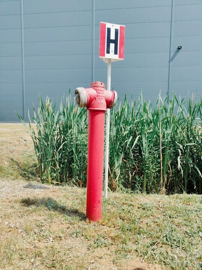 In Palmiry, Poland, a bright red fire hydrant stands in the foreground, positioned on a patch of dry grass. Behind the hydrant, a dense cluster of tall, green reeds grows, reaching upwards. Beyond the reeds, a light blue, corrugated metal building forms the backdrop. To the left of the hydrant, a white pole supports a sign with a black "H" in the center, outlined by red vertical bars on a white square. The scene is illuminated by natural daylight, casting shadows on the ground.
