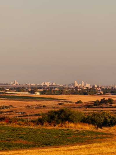This image depicts a rural landscape with agricultural fields in the foreground and midground, transitioning to a distant city skyline under a hazy sky. The sky occupies the upper approximately 40% of the frame and displays a gradient from light beige at the top to a slightly darker, warmer grey-brown at the horizon.

Across the mid-horizon, numerous high-rise buildings form a prominent skyline, identified as part of the city of Sha'alvim, Israel. These structures appear predominantly light-colored, possibly white or pale grey, standing out against the atmospheric haze. Below the skyline and in front of it, a mix of smaller residential buildings and scattered trees are visible, indicating the outskirts of the settlement. A slender, dark-colored telecommunications tower with visible cross-bracing is positioned slightly left of the central vertical axis, rising above the midground structures. To the left of the tower, a large, light-colored building with a distinct dark roof is visible, likely an agricultural or industrial facility.

The foreground and lower midground are dominated by agricultural fields. Large sections are covered with golden-yellow stubble, indicating recently harvested crops. Interspersed within these are patches of vibrant green vegetation, possibly growing crops or managed greenery. Clusters of dark green bushes and trees are scattered across the landscape, often defining boundaries or appearing on small rises. In the mid-left field area, a distinctive red, circular piece of agricultural machinery is present. Nearby, a cluster of white rectangular objects, likely beehives, are arranged on the ground. Several light brown, cylindrical hay bales are visible in the more distant harvested fields. No people or animals are visible within the frame. The lighting suggests a warm, diffuse illumination, characteristic of early morning or late afternoon.