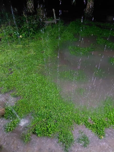 The image depicts a heavy rainstorm soaking lush green grass and surrounding foliage. The rain appears as streaks of white against the darker background. To the left, the scene fades into deep shadows and indistinct shapes. The ground is saturated with water, creating a murky, reflective surface. The overall atmosphere is wet, dark, and intensely verdant.