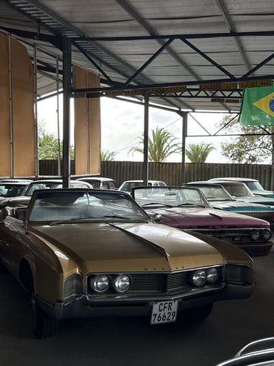 The image shows a collection of vintage cars parked indoors, possibly in a storage facility in Kraaifontein, South Africa. The cars vary in color, including gold, pink, light blue, and white. The cars are parked close together, with the front of a gold car dominating the foreground. The license plate "CFR 76629" is visible on the front of the gold car. Above the cars, the structure of the building's roof is visible, along with several license plates and a Brazil flag hanging from the ceiling. Palm trees can be seen through the building's open side. There are no people visible in the image.