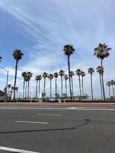 The image displays a vibrant coastal scene in Huntington Beach, United States of America, under a bright, partly cloudy sky. A long, symmetrical line of numerous tall palm trees stands prominently on the left side of the frame, their fronds green and full against the blue sky, suggesting a sunny day. To the right, a paved asphalt road, featuring white lane markings and a distinct red curb, stretches into the distance. A lamppost's shadow is cast across the road.
Behind the line of palm trees and beyond the road, a commercial or residential strip lines the coast, with various buildings and structures visible. A body of water, likely the Pacific Ocean, is discernible in the background, with what appears to be a pier extending into it.
Visible text on signs along the promenade includes "GEORGETTE" with the phone number "714-374-4557" on a blue sign. Other partially visible texts include "COUNTY BOARD", "WELCOME", "HUNTINGTON CITY", and "VISIT CALIF". The weather is clear and sunny, indicating daytime, likely mid-morning or afternoon. No specific human activities are clearly depicted, but the setting suggests a popular recreational and transportation area.