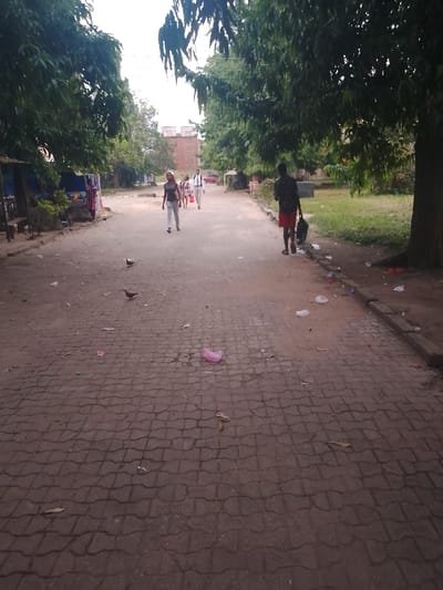 This image captures a daytime scene in Choba, Nigeria, depicting a paved road lined with lush green trees, primarily on a cloudy or hazy day. The road, constructed from dark-colored, brick-patterned paving stones, shows signs of litter, including plastic bags, paper, and leaves scattered across its surface and along the dirt shoulders.

In the midground, several individuals are walking along the road. On the left side, a woman in light-colored trousers and a dark top walks towards the viewer. Further down the road, a man in a white shirt and dark trousers, possibly in formal wear, walks away from the viewer, accompanied by another person behind him. On the right side of the frame, a man in red shorts and a dark top, carrying a black bag, walks away from the viewer, positioned near the roadside.

The left side of the road features simple, possibly makeshift structures under the shade of trees, suggesting small stalls or shops. On the right, a grassy area with additional litter runs alongside the paved road, also bordered by dense foliage. In the distant background, a multi-story building, possibly made of brick, is visible through the trees. Two pigeons are seen foraging on the paved road in the foreground. No discernible text is visible in the image.