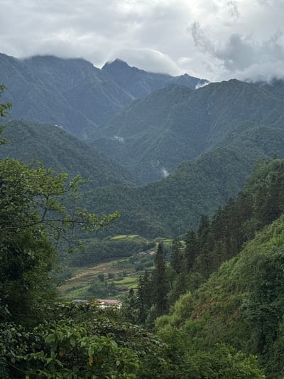 The image depicts a mountainous landscape, possibly near Cat Cat Village, Vietnam. There are multiple layers of mountains receding into the distance, covered in dense green vegetation. The leftmost mountain peak is partially obscured by clouds. Terraced fields are visible on the mountainside on the right. In the foreground, there are trees and foliage partially obscuring the view.
