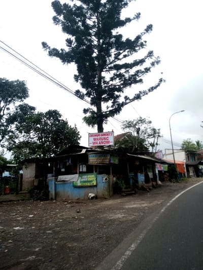 The scene depicts a rural or semi-urban roadside in Kodarapalli, India, under an overcast sky. A dark asphalt road, marked with a white shoulder line, curves from the lower right into the mid-ground. To the left of the road, a dirt and gravel area leads to a row of single-story, utilitarian structures.
The most prominent building on the left features a light blue painted lower facade with a corrugated metal roof. Several objects, possibly clothing, are suspended from its front. Above this structure, a red and white rectangular sign reads "CUGEMANG BANGKIT !! WARUNG WA ANOM". Directly beneath it, a green and yellow sign states "CIANJUR BANGKIT !! WARUNG NASI WA ANOM". A partially obscured green sign below these displays additional text. Adjacent buildings continue along the roadside, characterized by simple construction, some with tarpaulins or fabrics visible.
Dominating the upper center of the image is a very tall, slender tree with dark green foliage extending high into the overcast sky. Utility lines run horizontally across the upper frame, passing in front of this tree. To the right of the tree and above the road, a streetlamp is mounted on a tall pole. Dense green foliage and other trees are visible behind and to the left of the structures. No people or vehicles are visible in the scene.