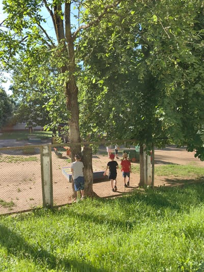 The image depicts an outdoor scene on a sunny day, likely within a fenced-in area of a park or schoolyard in Fanipal, Belarus. The foreground is dominated by a patch of lush green grass, with a chain-link fence running horizontally across the midground, separating it from a sandy area.
Beyond the fence, three young boys are visible. Two of them are walking away from the camera, one in a red t-shirt and blue shorts, and the other in a black t-shirt and black shorts. To the left, a third boy, wearing a white t-shirt and blue shorts, stands with his back to the camera, facing a large tree trunk. The tree is leafy and casts shadows on the ground.
In the background, other children can be seen playing. There are sandbox-like structures with colorful bottoms, and a green cart with red wheels is also present. A building with a grey facade and a light-colored roof is visible in the far background, suggesting it might be part of a school or community facility. The overall environment appears to be a recreational space for children, characterized by greenery, sandy ground, and playground equipment.