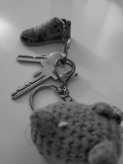 This is a black and white, close-up, eye-level shot of a keychain with multiple accessories. The keychain is lying on a flat, white surface, likely a table or countertop.
The keychain has at least two keys, both silver-toned metal with visible teeth and markings. One key is positioned horizontally, with "EUDB" and "086" stamped on it. The other key is slightly above and to the left, its teeth pointing downwards and to the left. A small, silver-toned shoe charm, resembling a sneaker, is attached to the top of the keychain by a chain. Below the keys, a small, fuzzy, grey plush toy, possibly a bear or rabbit, is attached to the keychain. The toy is out of focus, suggesting it is closer to the camera.
The background is a plain, out-of-focus white surface, with subtle shadows and light reflections indicating illumination from above and slightly to the left. There are no people or discernible environmental features of the city of Murska Sobota, Slovenia, visible in the image. The scene is indoors and domestic in nature.