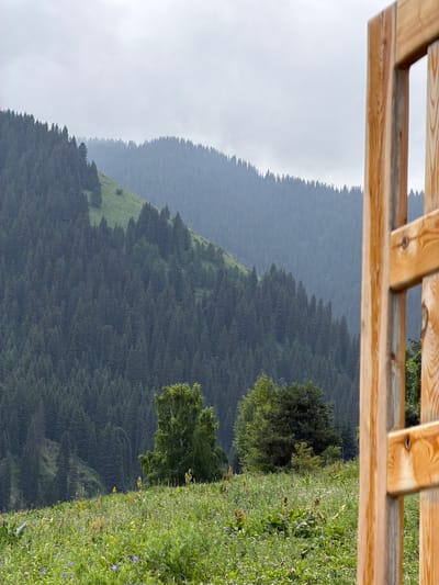 In Kaindy, Kyrgyzstan, a wooden fence frames a view of a lush green mountain covered in dense coniferous trees under a cloudy sky. In the foreground, a meadow is filled with various wildflowers and grasses.