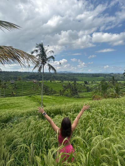 The image captures a scene in Penebel, Indonesia, with a woman in a pink top standing within a lush, green rice field. Her arms are outstretched, appearing to touch the tops of the rice stalks. The rice field stretches into the distance, transitioning into terraced paddies interspersed with palm trees. A single, tall palm tree stands prominently in the middle ground. Above, the sky is partly cloudy with both blue patches and large white cumulus clouds.