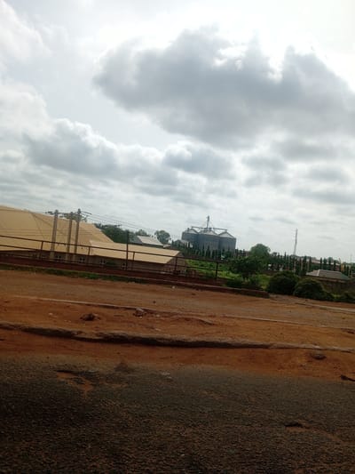 The image depicts an outdoor scene in Kakuri Gwari, Nigeria, under a cloudy sky. In the foreground, a dirt road and an asphalted area are visible, showing signs of wear and tear. Beyond the road, a large building with a golden-colored, corrugated roof is prominent, supported by several vertical structures. A fence runs in front of this building. Further in the distance, a cluster of large, cylindrical grain silos with conical roofs stands out against the sky. Adjacent to the silos, there are rows of green trees and other buildings, including a telecommunications tower and smaller residential-like structures with tiled roofs. The overall environment appears to be an industrial or agricultural area with some surrounding vegetation and infrastructure. There are no people visible in the image.
