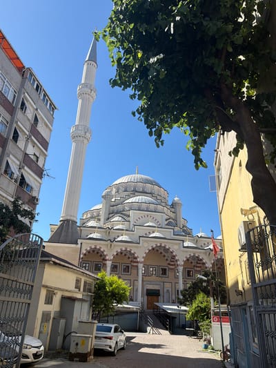 This is a medium-shot, eye-level, outdoor photograph taken on a sunny day in Zeytinburnu, Turkey. The central subject is a mosque with a white dome and a tall, fluted minaret. The mosque's exterior features arched windows and intricate decorative elements. To the left of the mosque is a tall, grey apartment building with multiple windows, some of which are open. To the right of the mosque, a portion of a yellow building is visible, along with a large tree whose branches and leaves partially obscure the sky and the mosque's dome. In the foreground, there is a paved alleyway with parked cars, including a white sedan on the left and another white sedan further back. Various utility boxes and metal fencing are also present in the foreground and along the sides of the alley. A red flag on a flagpole stands near the mosque. The overall scene depicts an urban environment with both residential and religious architecture.