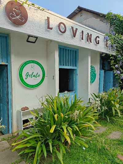 The image displays the exterior of a commercial establishment named "Loving Earth," a gelato shop located in Kochi, India. The building features a white, textured facade with prominent brown block letters spelling "LOVING EARTH" mounted across its upper section. A circular green and white sign, visible on the left wall, advertises "Homemade Sugar-Free Plant-Based Gelato." A teal-colored wooden door is partially open on the far left, revealing a dark interior. Central to the facade is an open window with teal vertical bars and a lower open section. To the right, another window with closed teal shutters is partially covered by climbing vines with small purple flowers. A black rectangular light fixture is mounted above the gelato sign. In the foreground, a bed of lush green, broad-leafed plants with numerous white, spidery flowers dominates the scene, set against a backdrop of green grass and sections of a stone path. To the left of this plant bed, a small white, two-tiered shoe rack holds a pair of brown sandals on its top shelf. A rustic metal art piece, depicting a stylized human figure with a heart, is affixed to the top left portion of the building's facade. An adjacent structure with a corrugated metal roof is partially visible in the upper background. No individuals are present in the scene.