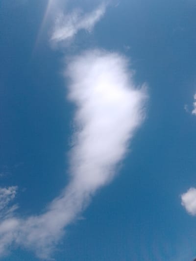 The image shows a clear blue sky with several wispy white clouds. One large cloud is centrally located and appears elongated, resembling a tail. There are smaller clouds scattered in the upper left and lower right portions of the frame. The image appears to be taken from a ground-level perspective looking upwards. There is no discernible presence of the city of Yessentuki, Russia, or any specific landmarks that would indicate this location. The scene is natural and depicts a sky on a clear day.