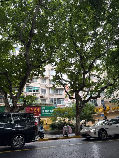In the Changning District of China, a wet street scene unfolds beneath the canopy of large, leafy trees. The foreground features the rear of a black SUV parked on the right side of the road, its chrome accents gleaming. Beside it, a blue electric scooter is parked. Further down the street, a white electric car with its headlights on is in motion. A person holding a white umbrella walks in the middle ground between the parked scooter and the moving car. Behind the street, a multi-story building with numerous windows and balconies dominates the background. Various shops and businesses are visible at street level, indicated by signage including "千裏香," "住商不動產," and other Chinese characters. The ground is wet and reflective, suggesting recent rain.
