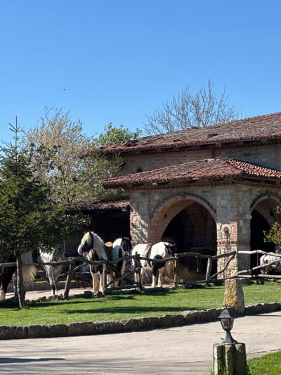 The image captures a scene in the village of Kalimantsi, Bulgaria, featuring a traditional stone building with arched openings. Several horses, some saddled, are positioned in front of the building, likely for tourist activities. A wooden fence separates the horses from a manicured lawn and a paved pathway. The sky is clear and blue. The architecture suggests a historical or cultural preservation effort within the village.