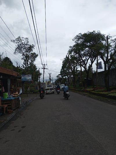 The image depicts a street scene in Melakudikadu, India, under an overcast sky. A two-lane asphalt road, appearing damp, occupies the central and lower portions of the frame. On the left, a roadside stall with a brown roof and a blue counter is visible, displaying items such as green containers and coconuts. A dark wooden stool is positioned in front of the stall. Above the stall, a white sign with blue text is attached to a pole. Multiple utility poles with numerous overhead power lines extend across the upper-left sky. Various trees and dense green foliage line the left side, behind the stall and poles.
On the right side of the road, a row of mature trees with full green canopies stands alongside a dark grey concrete or stone wall. A landscaped area with colorful flowering plants runs along the base of the wall and trees. A dark banner or flag is affixed to a pole near the wall on the right.
Traffic is present on the road. In the foreground, three individuals are operating motorcycles, moving away from the viewer. The rider farthest right wears a light blue jacket with a white logo. Behind the motorcycles, a light-colored van (possibly white) is visible, followed by additional vehicles further down the road, including more motorcycles and cars. No clear interactions between individuals are visible; vehicles are proceeding along the road. The overall lighting is dim and diffused.
