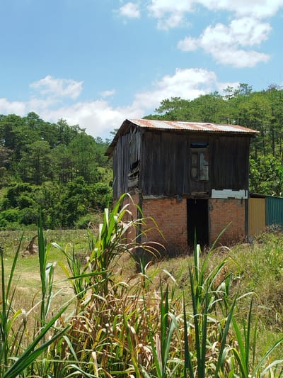 The image depicts an old, weathered wooden structure with a rusted corrugated metal roof, situated in a rural, hilly landscape near K'Rèn, Vietnam. The building's lower level is constructed of reddish-brown bricks, with an open doorway revealing darkness within. The upper level is made of vertical dark wooden planks, one section of which appears to be damaged, revealing an opening. A broken window is visible on the upper level. The foreground is dominated by tall, green and brown vegetation, likely reeds or tall grasses, which partially obscure the base of the building. In the background, a dense forest of green pine trees covers the hillsides under a bright blue sky with scattered white clouds. To the right of the wooden structure, a section of corrugated metal fencing in yellow and green hues is partially visible. The scene suggests an abandoned or disused rural outbuilding within a natural, overgrown environment. There are no people or animals visible in the image.