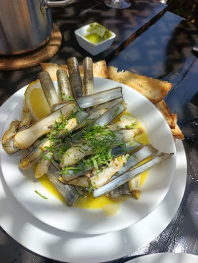 A close-up, overhead shot captures a white plate filled with cooked razor clams in a yellow sauce, garnished with chopped herbs. A lemon wedge is visible on the left side of the plate. Toasted bread slices are arranged behind the plate, and a small white bowl containing a green paste sits in the upper right corner. A metal pot and a wooden coaster are partially visible in the upper left. The scene is set on a dark, reflective surface, likely a table outdoors, with dappled sunlight creating shadows. The image appears to be taken at a restaurant in Sines, Portugal, judging by the context of Sines being known for its seafood. There are no people visible in the image.