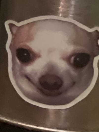 A close-up sticker of a chihuahua's face is adhered to a metallic surface. The sticker is shaped to the contours of the dog's head. The chihuahua has white fur with light brown markings on its ears and around its eyes. Its eyes are dark and wide, with a slight upward tilt that gives it a mischievous or surprised expression. Its nose is dark brown and wet-looking. The dog's mouth is open in a slight smile, revealing its tongue. The background is dark and out of focus, with a subtle shine suggesting a reflective surface. There is no visible indication of the city of Batumi, Georgia, or any other specific location.