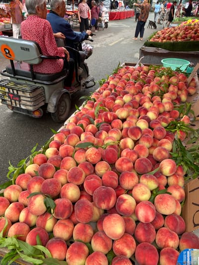 The image captures an outdoor market scene in Chongzhou City, China. In the foreground, a large display of fresh peaches fills wooden crates. The peaches are predominantly red and yellow with some green accents, and many are adorned with green leaves. To the left of the peaches, a three-wheeled electric scooter is parked. An elderly couple is seated on the scooter; the woman, on the left, wears a red floral shirt, and the man, on the right, wears a dark blue jacket. The scooter has a storage basket at the back, containing what appears to be books or papers. In the background, more market stalls and people can be seen. A woman in a striped shirt stands near a stall with watermelon. Other individuals are walking through the market, and a dog is visible near some stalls. The ground is paved. The overall impression is a bustling marketplace on a day with moderate lighting.