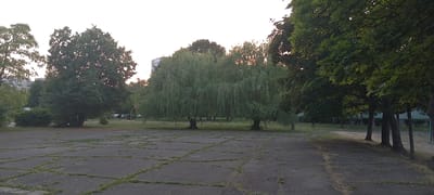 The image depicts a paved area, possibly a parking lot or an abandoned sports court, in Cherkasy, Ukraine. The pavement is cracked and overgrown with grass. In the background, several trees are visible, including a large weeping willow in the center. To the left, a building is partially visible behind a dense bush. To the right, a row of trees lines the edge of the paved area, with a building in the far background. The sky is overcast, suggesting it might be early morning or late evening. There are no people or animals visible in the scene. The overall impression is one of an urban outdoor space that is somewhat neglected.