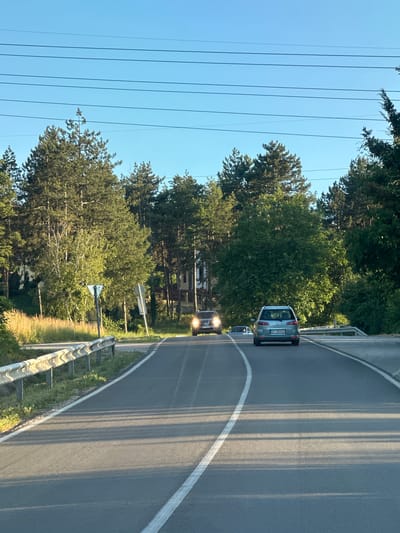 The image shows a two-lane asphalt road with white lane markings, curving to the right. Several cars are on the road. In the foreground, on the left, is a silver guardrail. The environment is rural, with dense pine trees on both sides of the road, some deciduous trees, and dry grass on the left. The sky is clear blue with several power lines crossing horizontally. A signpost with a yield sign is visible on the left side of the road. A silver station wagon with license plate BT 1804 KK is in the right lane, facing away from the camera. To the left of it, a dark SUV with its headlights on is visible in the left lane, also facing away. Another car is partially visible further ahead in the left lane. The scene appears to be in Gorna Oryahovitsa, Bulgaria, based on the car's license plate which is consistent with Bulgarian plates.