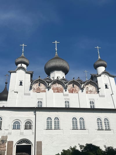 This is a low-angle, eye-level, full shot of the Solovetsky Monastery, a prominent religious complex located in Solovetskiy, Russia. The monastery's white walls and grey onion domes, topped with Orthodox crosses, dominate the frame against a clear, bright blue sky. The architecture features multiple windows, some arched and some rectangular, with white frames. The texture of the brickwork is visible in some sections, particularly around the upper levels where some wear and tear is apparent. A dark green canopy of trees is visible in the lower right corner, providing a stark contrast to the light-colored buildings. There are no people or animals visible in the scene. The image captures a sunny day, suggesting good weather conditions.