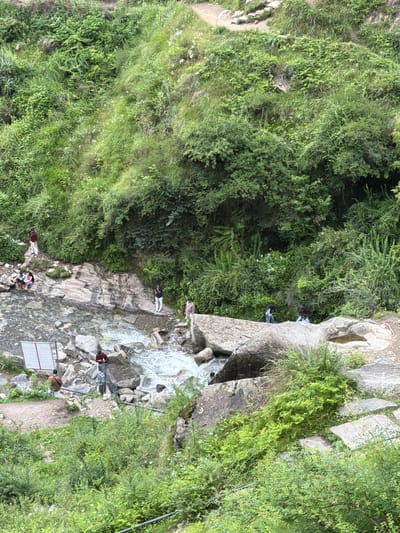This aerial, high-angle, full shot captures a natural scene in Bahang, India, with a focus on a flowing stream and surrounding lush greenery. Several individuals are dispersed throughout the frame, some interacting near the water and others standing on the rocky banks. A white sign with text is visible near the left bank of the stream. The environment is characterized by a dense overgrowth of various shades of green vegetation, including grasses, shrubs, and trees, climbing up a rocky hillside. The stream appears to be shallow and clear, with white water indicating movement and possibly some rapids. The overall impression is one of a serene, natural landscape frequented by visitors.